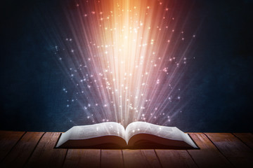 无主之地2局域网联机