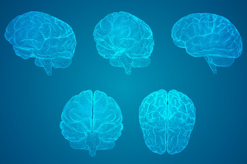 广播稿100字(生活小百科)