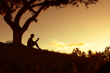 深圳哪里有摘草莓的地方？