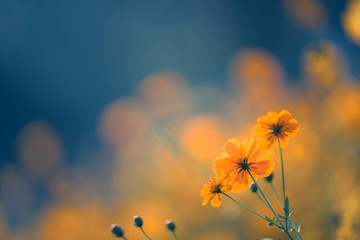 企业做决策要考虑什么