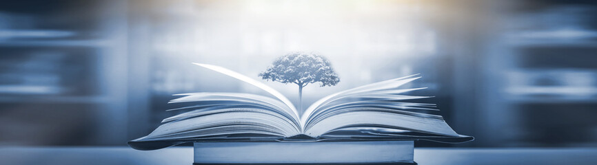 女生成考大专学什么专业好 怎么选择