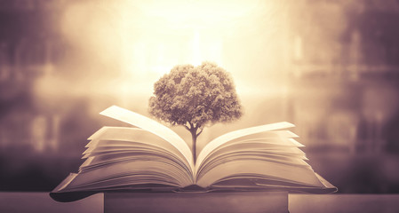 女生成考大专学什么专业好 怎么选择