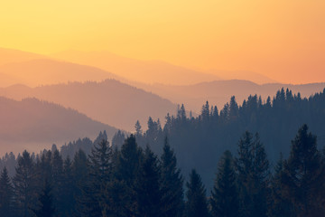 无主之地2局域网联机