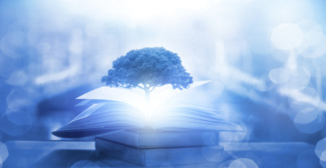 广播稿100字(生活小百科)