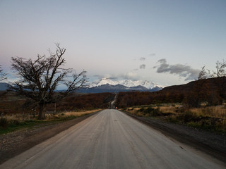深圳哪里有摘草莓的地方？