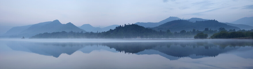 鲸鱼到底是怎样从陆地四肢动物下海进化而来？