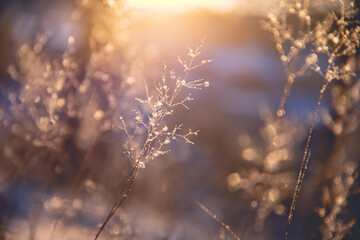女生成考大专学什么专业好 怎么选择