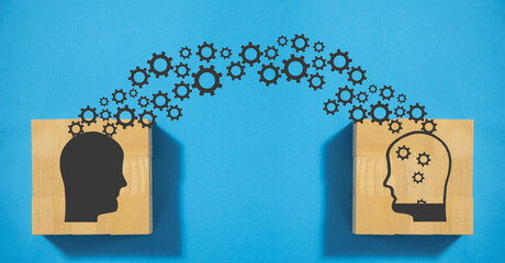 广播稿100字(生活小百科)