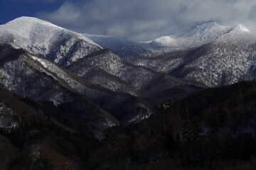 鲸鱼到底是怎样从陆地四肢动物下海进化而来？