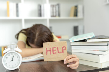 无主之地2局域网联机