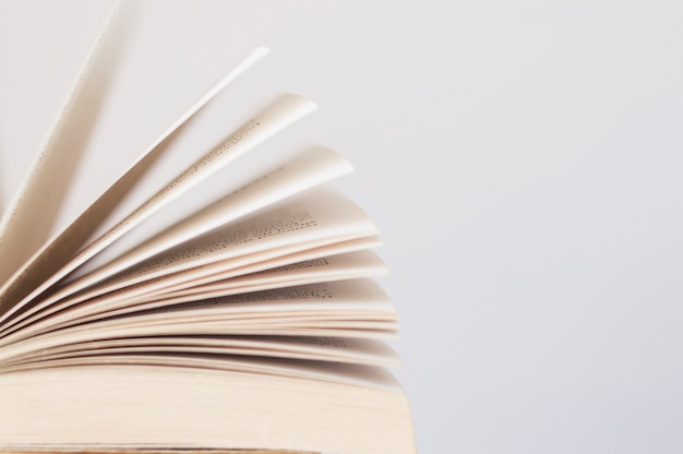 巫师3二周目鼠李草怎么扔