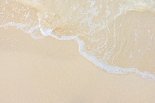 二级残疾证需要什么条件