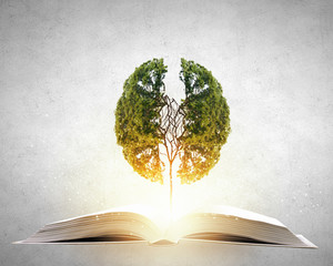 无主之地2局域网联机