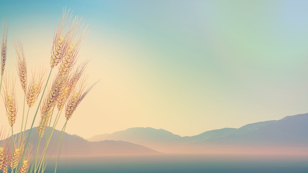 鲸鱼到底是怎样从陆地四肢动物下海进化而来？