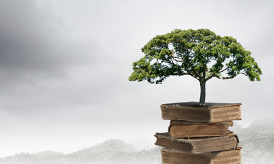 从昆明到福建坐火车到多少个小时？