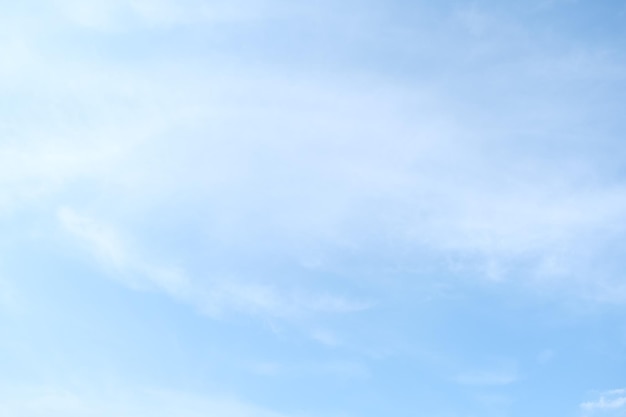 巫师3二周目鼠李草怎么扔