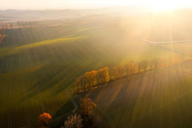 深圳哪里有摘草莓的地方？