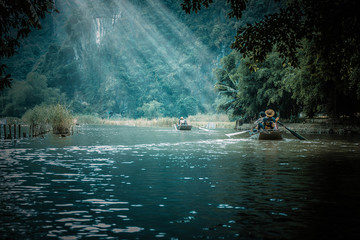 鲸鱼到底是怎样从陆地四肢动物下海进化而来？