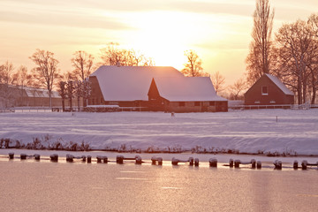 巫师3二周目鼠李草怎么扔