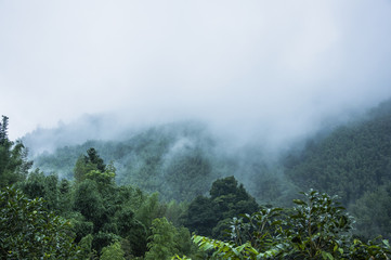 女生成考大专学什么专业好 怎么选择